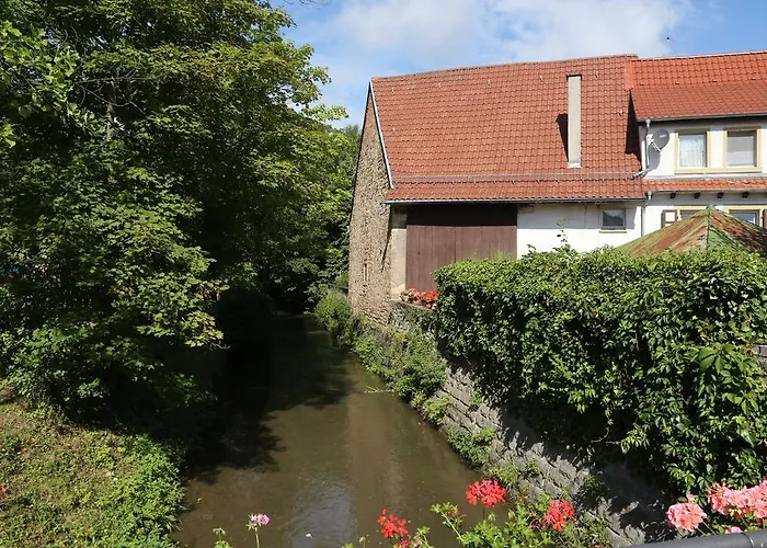 Casa de hóspedes Leo