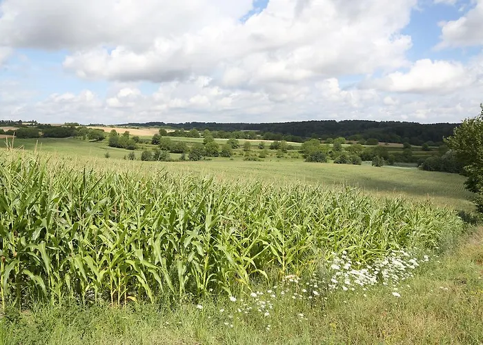 Leo Casa de hóspedes 3*