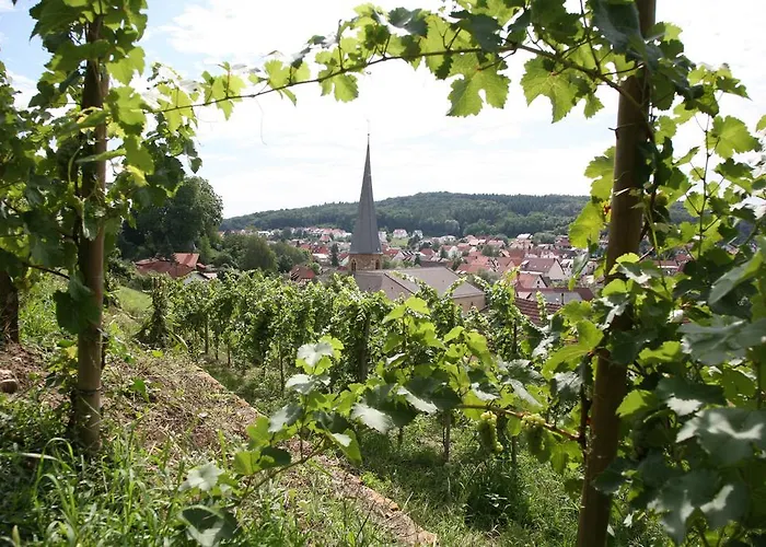 Casa de hóspedes Leo Mühlhausen